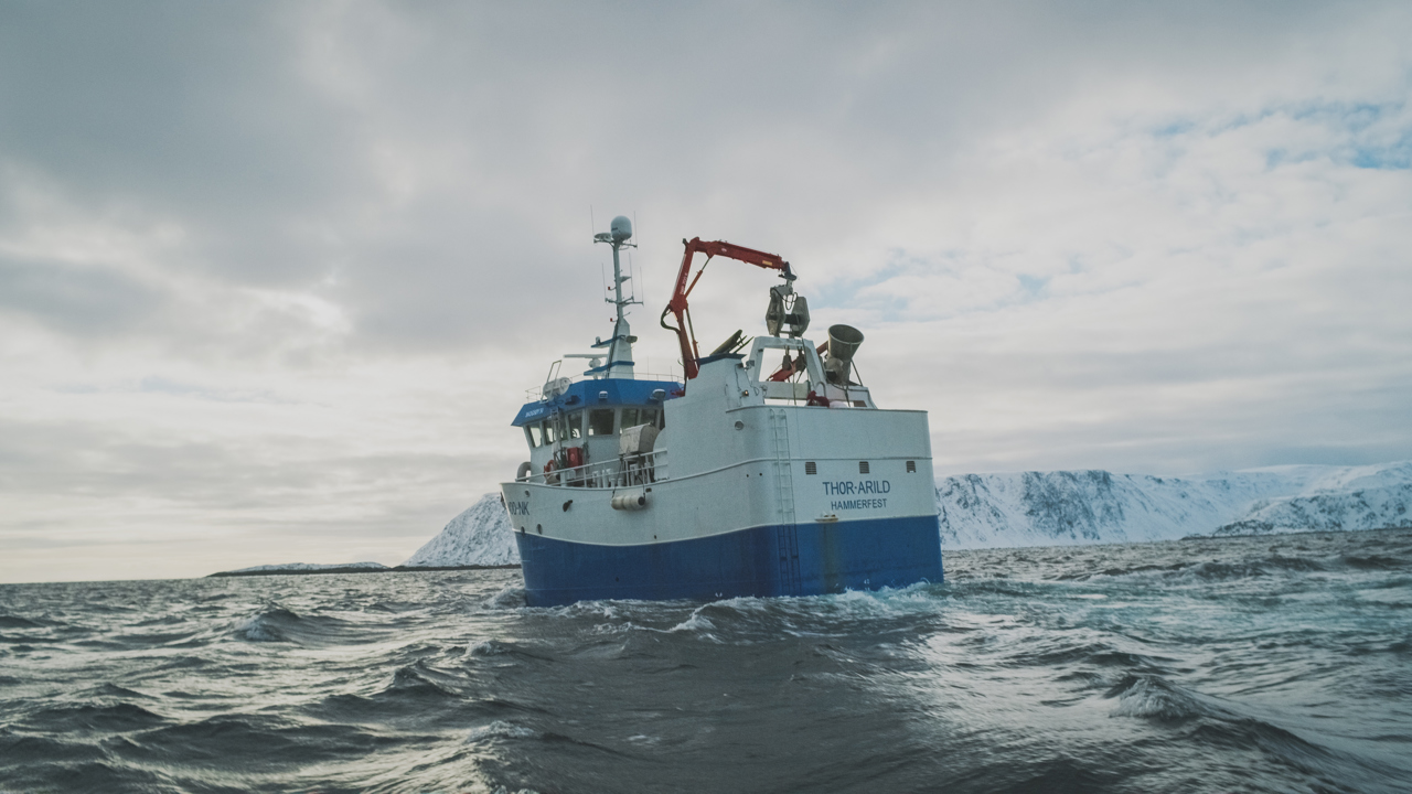 A001 C010 0405JU 003.R3D.07 15 23 16.Still001