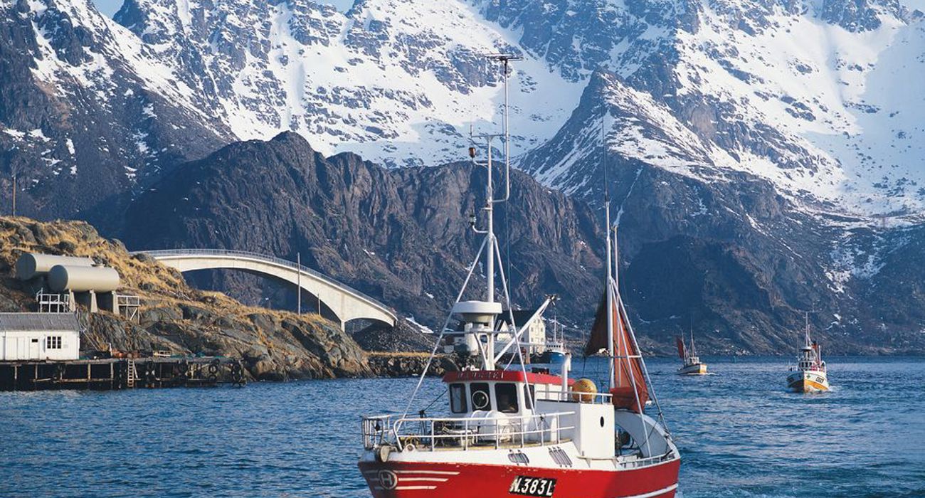 6C4834c5 2529 41Ba B3c3 9Bc65fef9910 W 960